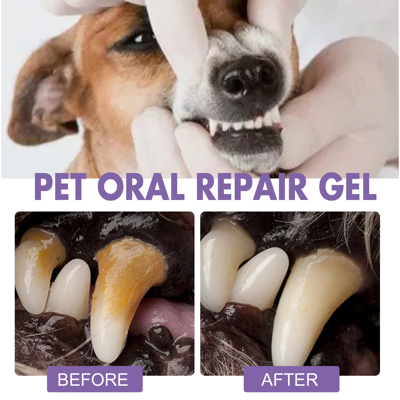 Pet Oral Repair Gel Puppy Tart - Teeth Whitening Singapore review and price