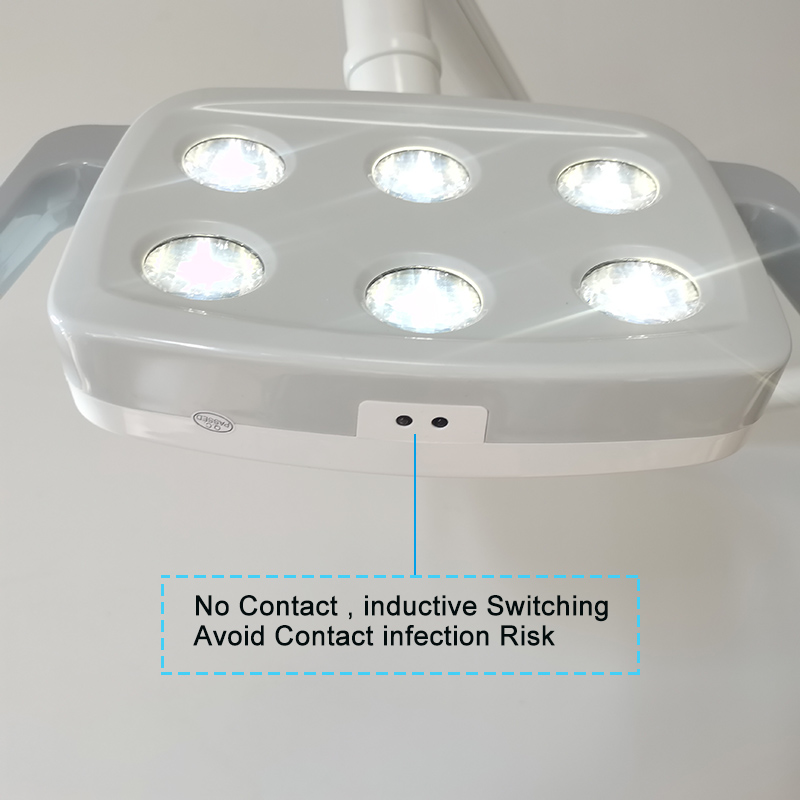 6LED Dental LED Lamp Oral Ligh - Teeth Whitening Lamp review and price