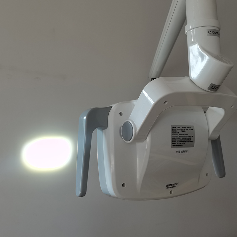 6LED Dental LED Lamp Oral Ligh - Teeth Whitening Lamp review and price